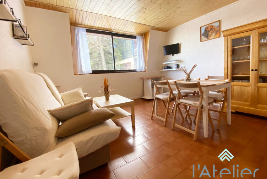 immo_hautes_pyrenees_saint_lary_soulan_acheter_appartement_latelierimmo.com