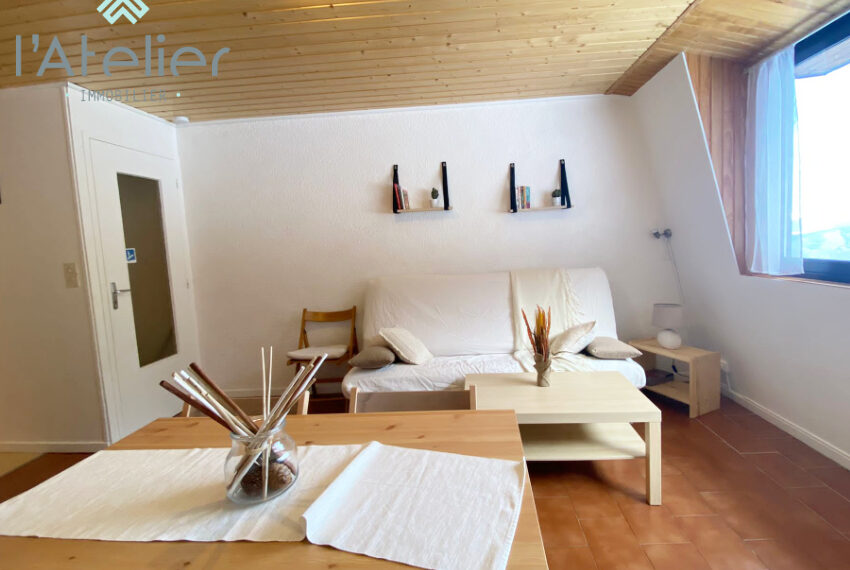 pyrenees_en_station_de_ski_appartement_a_vendre_latelierimmo.com