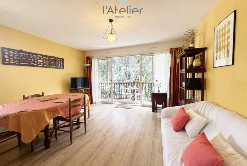 maison-jardin-vue-montagnes-investissement-valleedaure-hautespyrenees-location-saintlarysoulan-pistes-latelierimmo.com-39