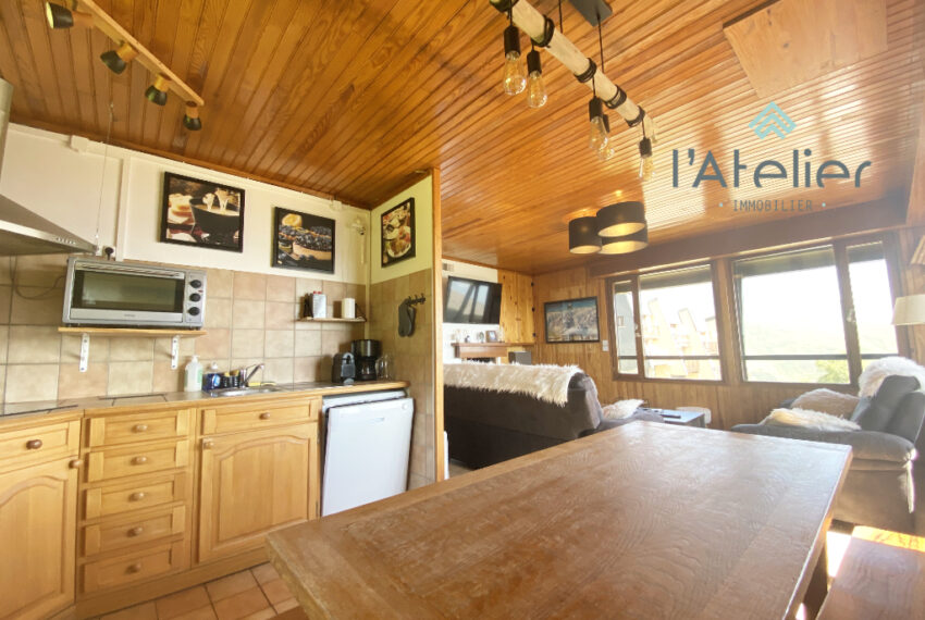 chalet-pladadet-saintlarysoulan-vue-montagnes-pistes-valleedaure-hautespyrenees-investissement-bois-acheter-achat-latelierimmo.com-4
