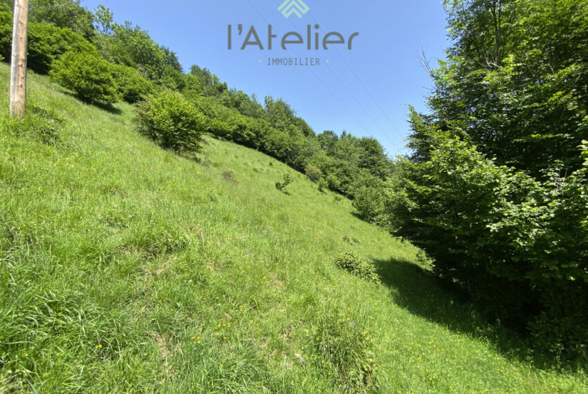 exclusivite-saintlarysoulan-beyrede-grange-montagnes-vue-location-investissement-pierres-acheter-achat-hautespyrenees-latelierimmo.com-11
