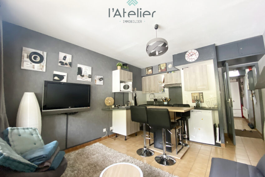 appartement-valleedaure-hautespyrenees-pladadet-saintlary-montagnes-skisauxpieds-pistes-acheter-achat-latelierimmo.com-7