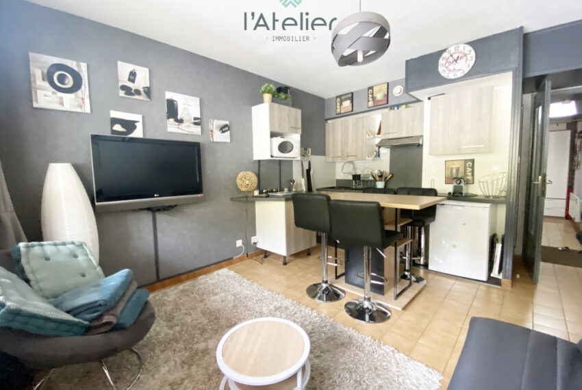 appartement-valleedaure-hautespyrenees-pladadet-saintlary-montagnes-skisauxpieds-pistes-acheter-achat-latelierimmo.com-9