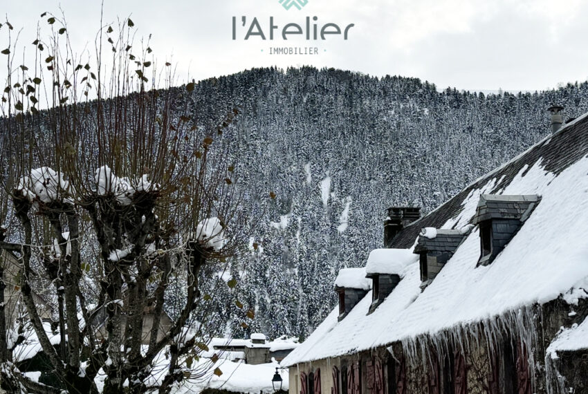 maison-immobilier-achat-acheter-sarrancolin-valleedaure-saintlarysoulan-investissement-année-vue-montagnes-jardin-latelierimmo.com-7