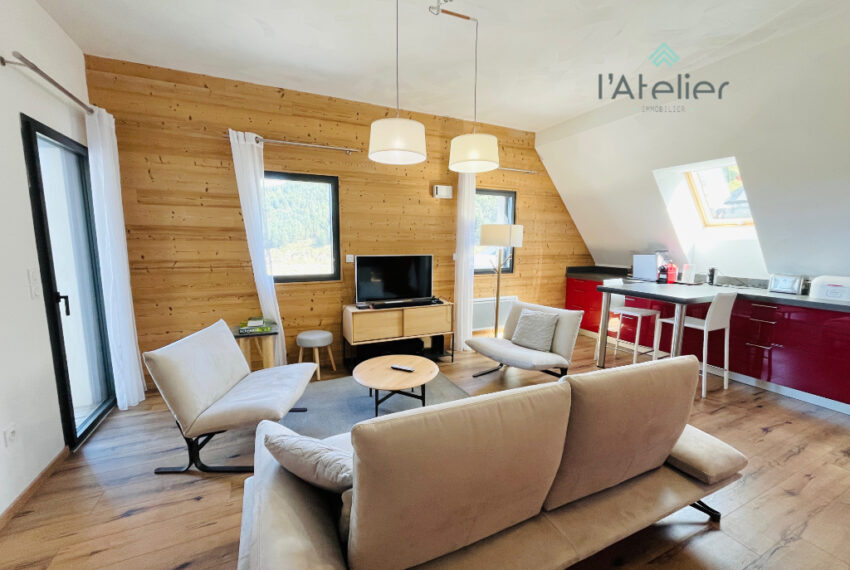 appartement-T4cabine-investissement-hautespyrenees-valleedulouron-loudenvielle-saintlarysoulan-peyragudes-germ-achat-acheter-montagnes-pistes-ski-latelierimmo.com-10