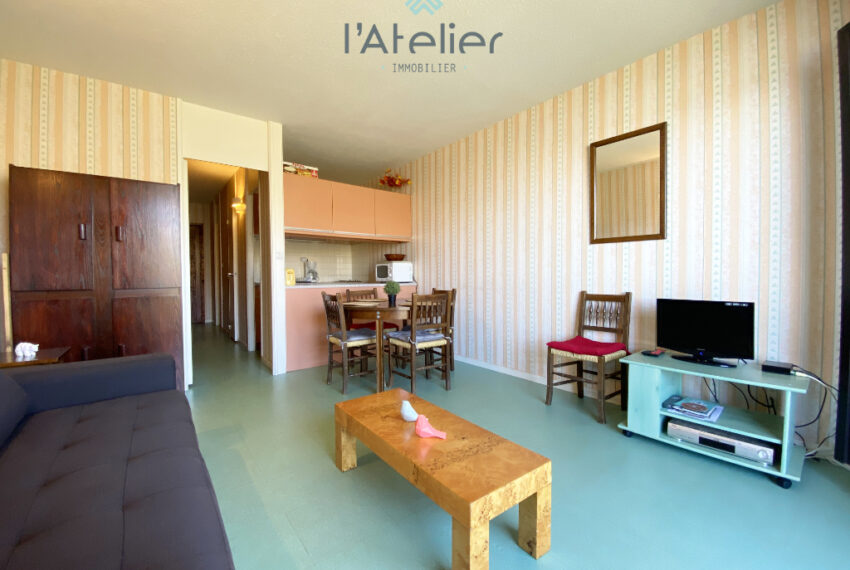 appartement-pladadet-montagnes-vue-skisauxpieds-pistes-valleedaure-hautespyrenees-saintlary-studiocabine-investissement-latelierimmo.com-11