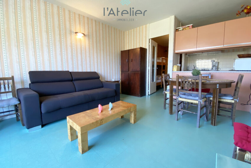 appartement-pladadet-montagnes-vue-skisauxpieds-pistes-valleedaure-hautespyrenees-saintlary-studiocabine-investissement-latelierimmo.com-12