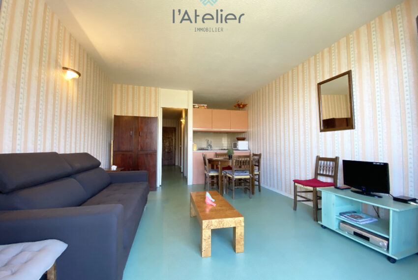appartement-pladadet-montagnes-vue-skisauxpieds-pistes-valleedaure-hautespyrenees-saintlary-studiocabine-investissement-latelierimmo.com-15