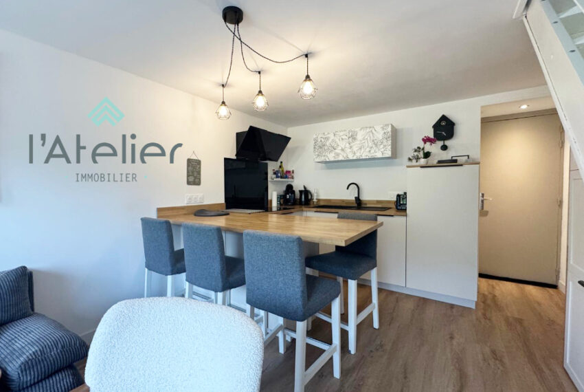 T2-triplex-renove-investissementlocatif-ski-station-montagnes-achat-immobilier-hautespyrennees-saintlarysoulan-vielleaure-aure-cocon-vue-latelierimmo.com-2