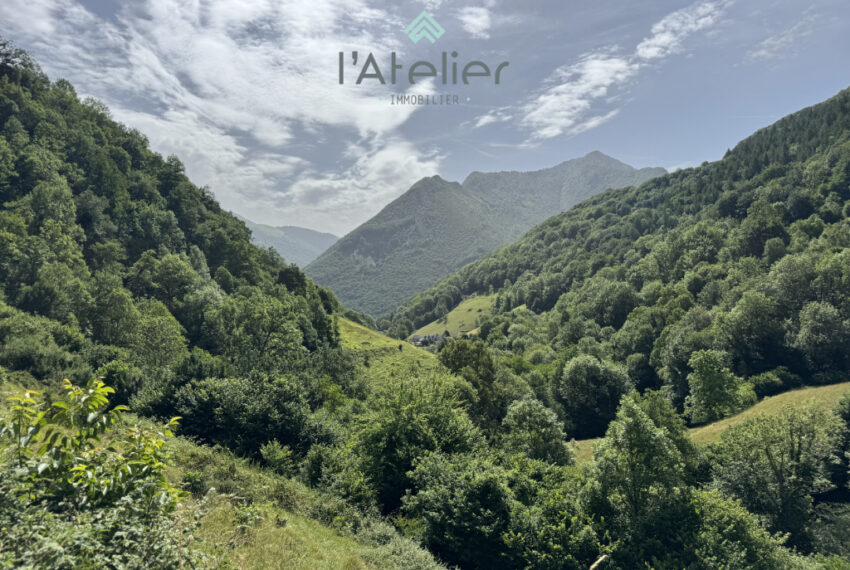 16-propriété-sarrancolin-beyrede-saintlarysoulan-grange-paradis-montagnes-achat-acheter-investissement-bonheur-verdure-fleurs-hautespyrenees-valleedaure-latelierimmo.com