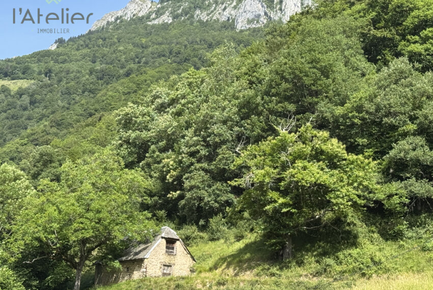 20-propriété-sarrancolin-beyrede-saintlarysoulan-grange-paradis-montagnes-achat-acheter-investissement-bonheur-verdure-fleurs-hautespyrenees-valleedaure-latelierimmo.com