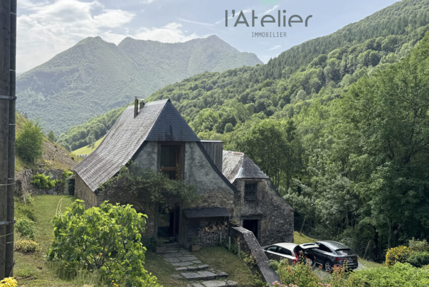 3-propriété-sarrancolin-beyrede-saintlarysoulan-grange-paradis-montagnes-achat-acheter-investissement-bonheur-verdure-fleurs-hautespyrenees-valleedaure-latelierimmo.com